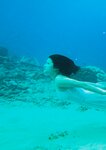 アサ芸SEXY女優写真集 2024.12.16 美乃すずめ写真集 nymph