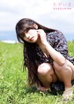 Tadaima Photo collection by Yoshinori Chitose