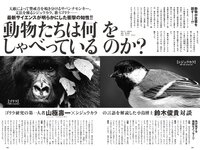 [Weekly Playboy]  2022 No.48 Mio Kudo, Haruka Imou, Yuko Sakaki , Rumika Fukuda, Ayae Hakamad & O...