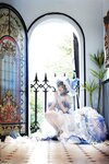 [Cosplay] 半半子 - チェシャー廃稿礼装
