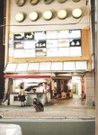 [Photobook] 2024.02.09 AKB48 下尾みう 1st写真集 僕だけのもの