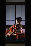 [Photobook] けん研(けんけん) くの一忍法お色気の術DL写真集