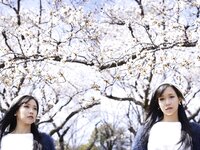 [Photobook] Evolved Gravure『エクスタシー』穂坂ゆき 写真集 (ラビリンス)