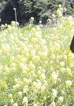 [Photobook] Kazusa Okuyama 奥山かずさ - AIKAGI (2020-07-10)
