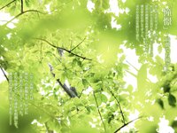 [Photobook] 松岡すず 1st オフィシャル写真集『鈴の音』