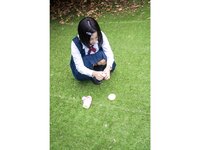 [Photobook] 蒼宮菜緒 ヌード写真集『レールデュタン』