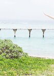[Photobook] 【デジタル限定】志田音々 写真集 『 Best selection 』 (ワニブックス デジタル写真集)
