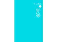 [Photobook] 青海 うみ 年上彼女＜下＞ GLD