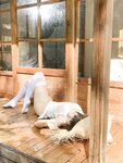 [Cosplay] 蠢沫沫 - 春