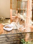 [Cosplay] 蠢沫沫 - 春