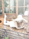 [Cosplay] 蠢沫沫 - 春