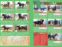 グラビア切り抜き週刊実話 12月号