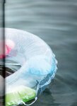 [Photobook] 2020.11.25 上西怜ファースト写真集 『水の温度』