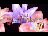 [Photobook] 中出しマ〇コ、くばあ。AIKA Complete edition(MAXING)