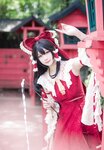 [Cosplay] Halo 酱 - Touhou Project Reimu Hakurei 东方Project 博丽灵梦