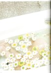 [Photobook] 2023.06.30 上西怜 Jonishi Rei Style Book - Coquettish