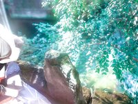 [Cosplay] Hashimoto Tamaki 桥本环沫 - Early Pomelo 早柚