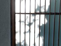 [Photobook] 七菜乃 ヌード写真集『Dream』