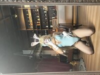[Cosplay] 懵懵懵白日梦 - 明日奈兔女郎