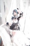 [Cosplay] Airi 仙九 - Cheshire Maid 柴郡女仆
