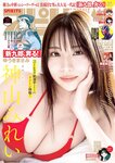[Big Comic Spirits] 2025 No.11