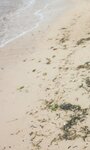 [Photobook] 2025.02.10 【大増量】田中美久写真集「キミの街まで」 (週プレ PHOTO BOOK)
