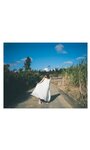 [Photobook] 2025.02.10 【大増量】田中美久写真集「キミの街まで」 (週プレ PHOTO BOOK)