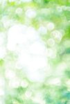 FRIDAYデジタル写真集 夜道雪『うまれたてのゆき』全カット
