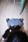 [Cosplay] 林月月 抹胸背带