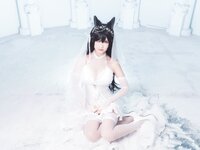 [Cosplay] Sandu 69 三度69 - Pet dog bride 爱宕犬花嫁