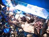 [Cosplay] Xiao He Er X超级小禾儿 - MBCC-S-462 Letta 莱塔