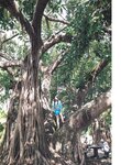 [Photobook] 2025.02.12 乃木坂46 与田祐希３rd写真集 ヨーダ