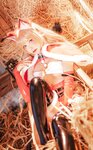 [Cosplay] Fandy Lau 千只猫薄禾 - Christmas Wolf Girl 圣诞狼女