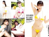 アサ芸Secret! vol.90 斎藤恭代 平嶋夏海 佐々木優佳里 花咲楓香 辻りりさ 和知つかさ 江里口さよ 大嶋みく 風吹ケイ 他