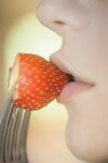 [Kenkenpa] Kenken けんけん - Honey
