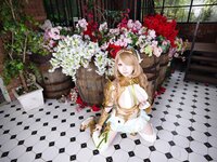 [Cosplay][Shooting Star’s] SAKU サク - Elf Village Cecil
