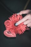 [Cosplay] Hoshino Masato 星野咪兔 - The flower ate the girl 花吃了那女孩