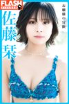 FLASHデジタル写真集 佐藤栞 お嬢様の冒険 (2022-02-03)