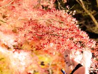 [Cosplay][Shooting Star’s] SAKU サク - The real swordsman Musashi 本格剣豪武蔵