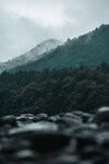 [Photobook] けん研???? (けんけん) くの一忍法お色気の術DL写真集