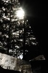 [Photobook] けん研???? (けんけん) くの一忍法お色気の術DL写真集