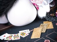 [Cosplay] Kuro Hijili 黒ノ森聖 - Pet Beast 愛玩のケモノ