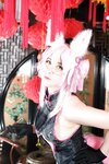 [Cosplay] Kuro Hijili 黒ノ森聖 - Pet Beast 愛玩のケモノ