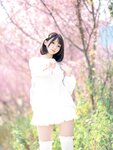 [Cosplay] NAGISA魔物喵 桜