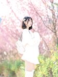 [Cosplay] NAGISA魔物喵 桜