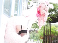 [Cosplay][Rabbit hutch] Usagi - Pet Beast 愛玩のケモノ