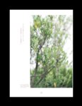 [Digital Photobook] Yui Oguri, Mizuki Yamauchi, Erii Chiba - Ray特別編集 IDOL BEAUTY BOOK #AKB48 (2020-09-30)