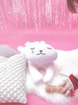 [Fantia] 2020.12 けん研 けんけん