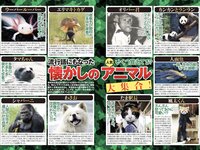 実話ナックルズGOLD vol.42 川上ゆう 宇野みれい 原つむぎ 椿木りさこ 寺本莉緒 他