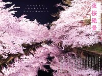 実話ナックルズウルトラ vol.31 凪ひかる 小島可奈子 矢部美穂 木下凛々子 橋本梨菜 夏来唯 他